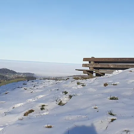 Kwatera prywatna 1 Zentral Ruhig Mit Flair Im Gertrud Schloessli 3z1 *