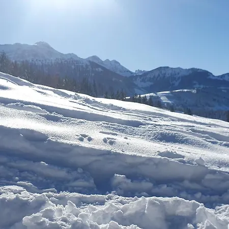 1 Zentral Ruhig Mit Flair Im Gertrud Schloessli 3z1 Pansiyon
