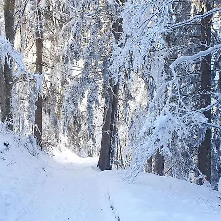 Kwatera prywatna 1 Zentral Ruhig Mit Flair Im Gertrud Schloessli 3z1