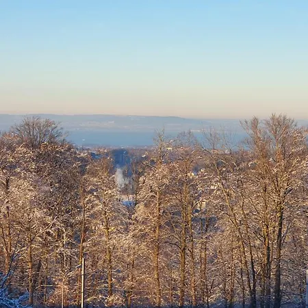 1 Zentral Ruhig Mit Flair Im Gertrud Schloessli 3z1 Homestay szállás St. Gallen