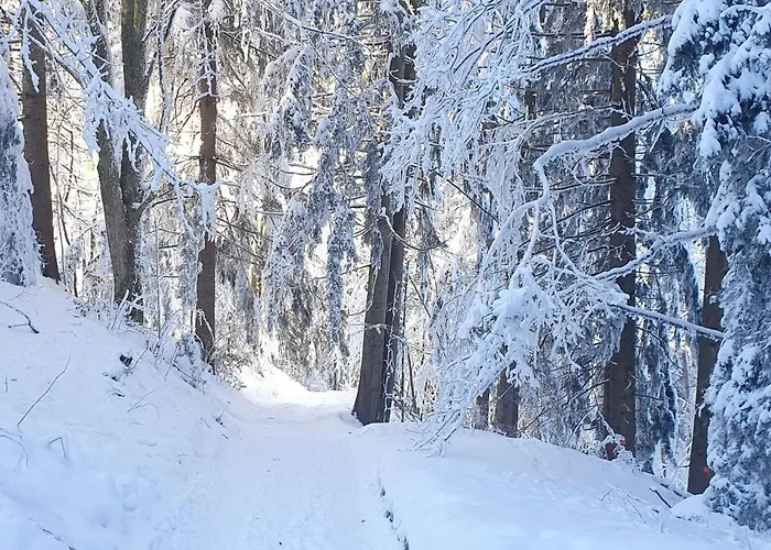 בית אירוח 1 Zentral Ruhig Mit Flair Im Gertrud Schloessli 3z1