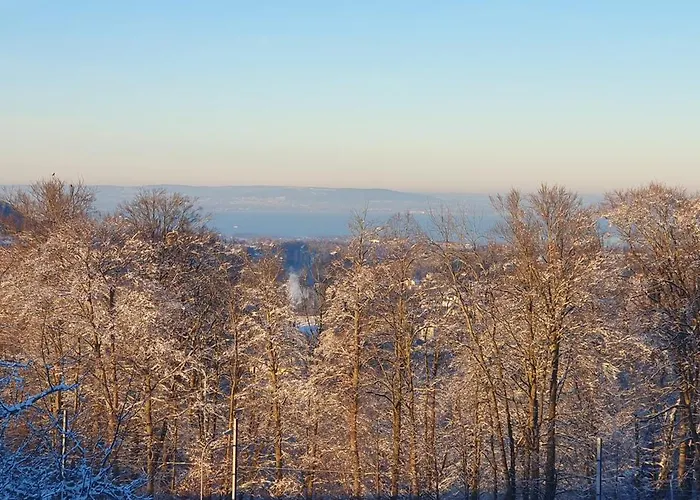 1 Zentral Ruhig Mit Flair Im Gertrud Schloessli 3z1 Séjour chez l'habitant Saint-Gall
